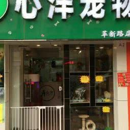 心洋宠物美容(革新路店)