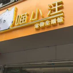 喵小汪宠物生活馆(体育西店)