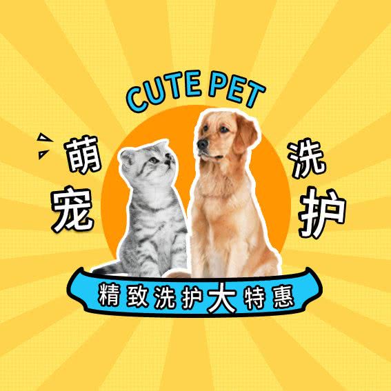 钦宠狗狗馆