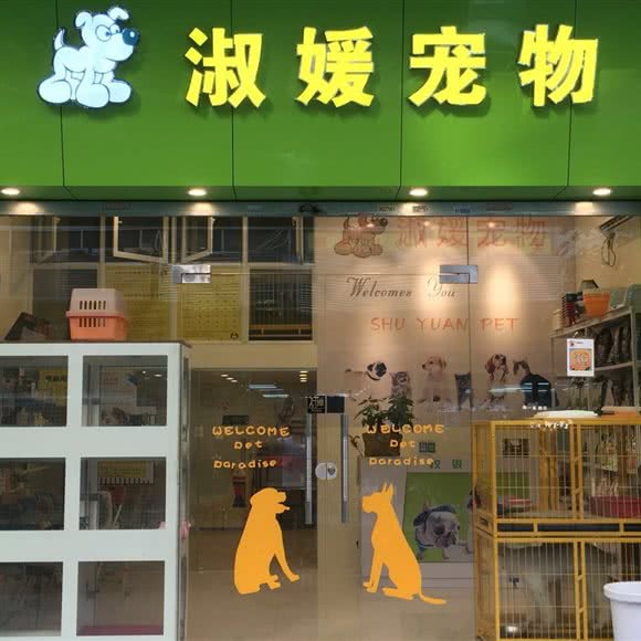 淑媛宠物狗