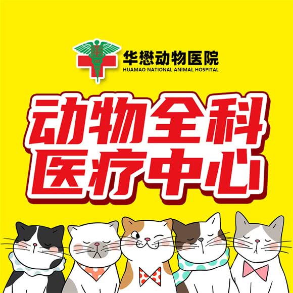 华懋懋动物诊所(横滘分院)