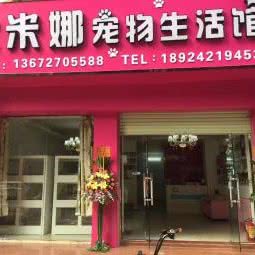 大米娜宠物会所
