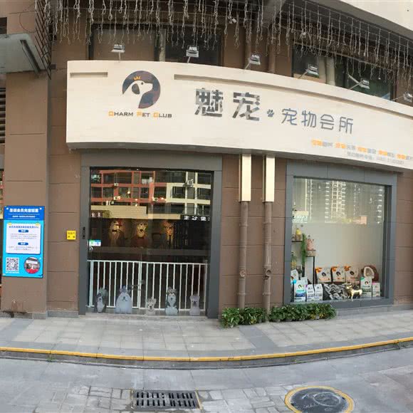 魅宠宠物狗会所
