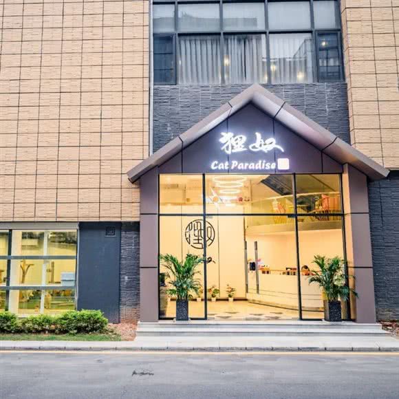 广州狸奴猫酒店