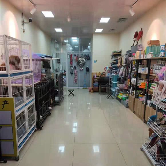 林小林宠物店