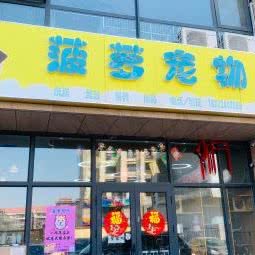 菠萝宠物