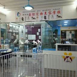 爱宠汇宠物美容沙龙