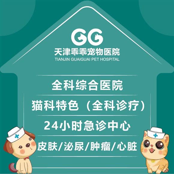 乖乖宠物医院(辰兴路分院.24小时)