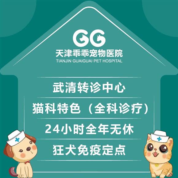 乖乖宠物医院(武清分院?24小时?急重症转诊中心)