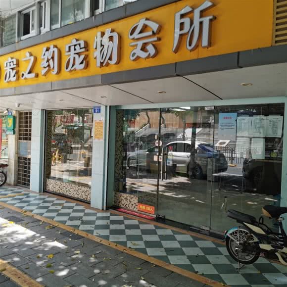 宠之约宠物会所(新洲分店)