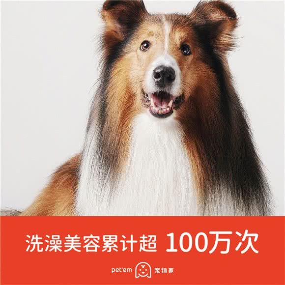 宠物家(新洲店)