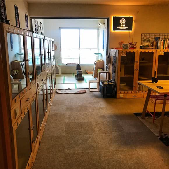 猫屿假日精选猫咪寄养酒店