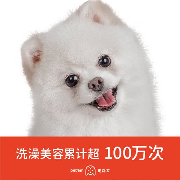 宠物家(后海中心店)