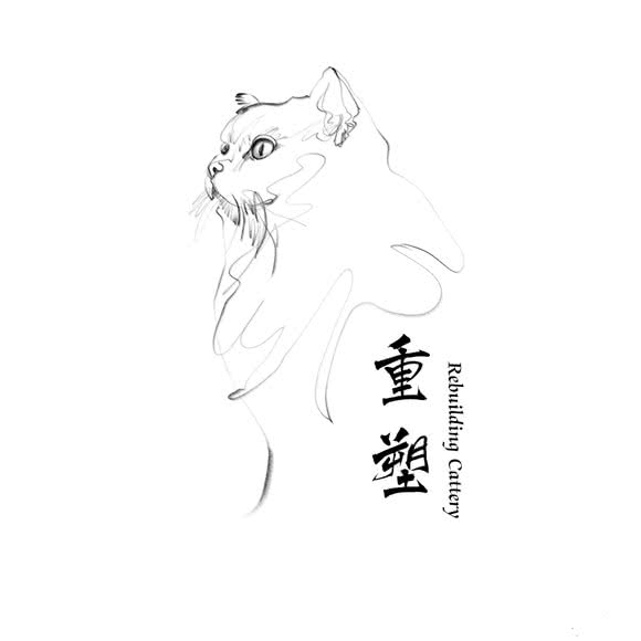 重塑猫舍Rebuilding Cattery