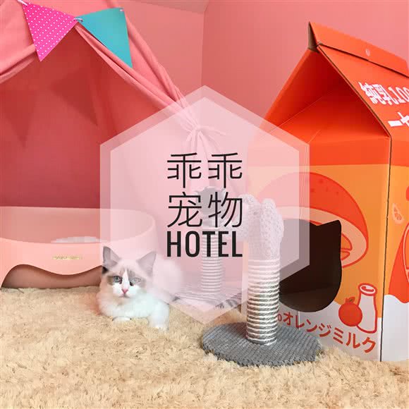 乖乖宠物酒店