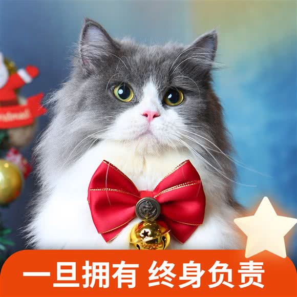 米乐乖乖宠物生活馆(西丽店)