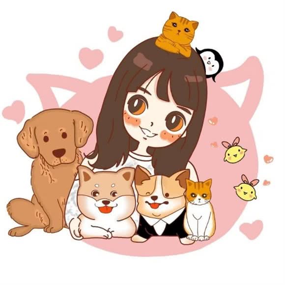 PET PET CAKE宠物蛋糕烘焙(宝安壹方城店)