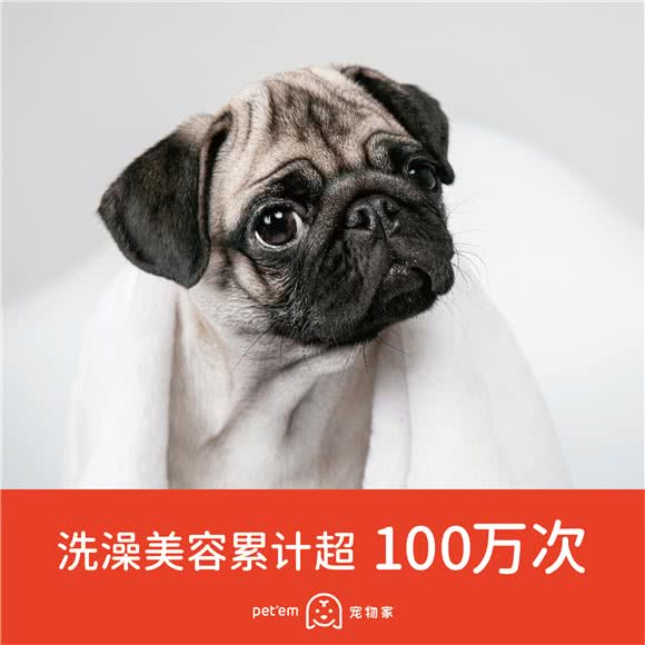 宠物家(富通城店)
