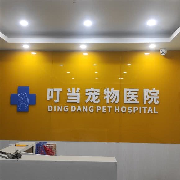 深圳市叮当宠物医院