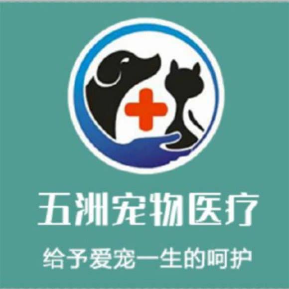 伍洲宠物医院