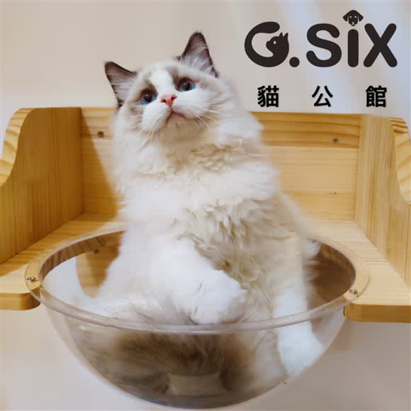 G.SIX貓公館