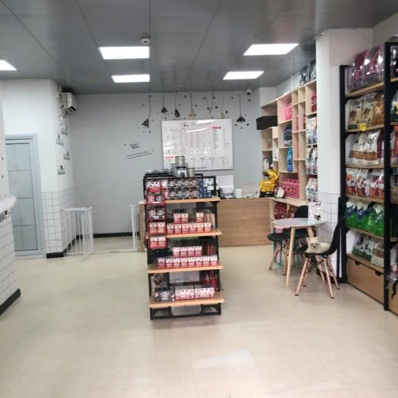 派多格宠物(龙华店)