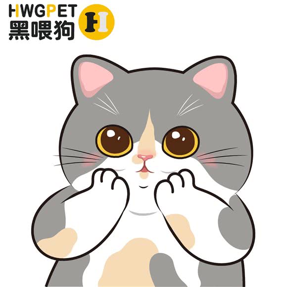 HWGPet(上塘店)