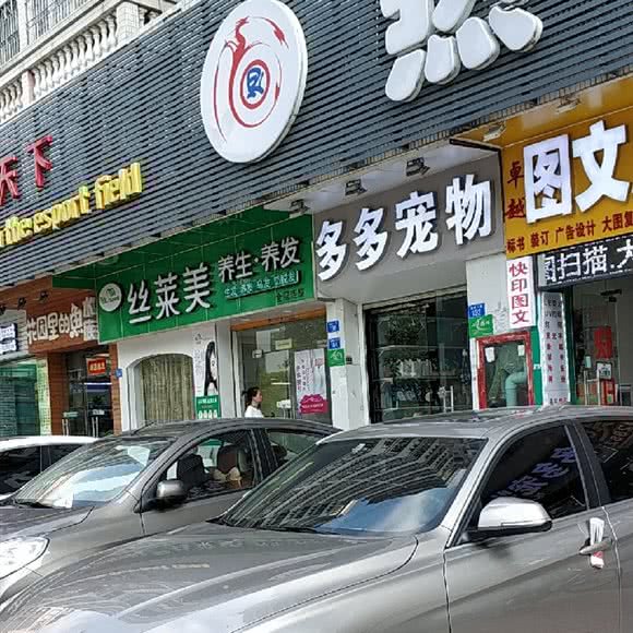 多多宠物