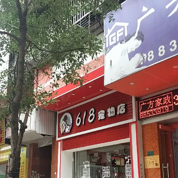 618宠物店