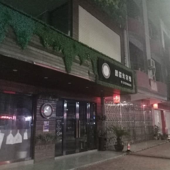 哈喽宠物社
