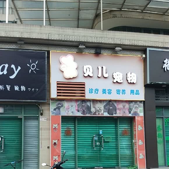 贝儿宠物会