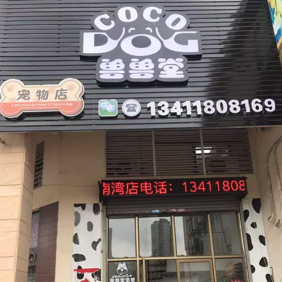 兽兽堂宠物(东海蓝湾店)