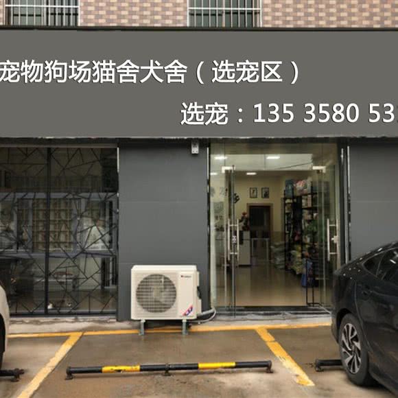 中韩宠物狗场猫舍犬舍