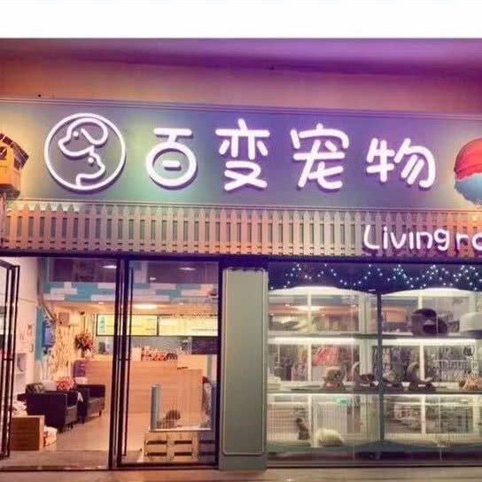 百变宠物
