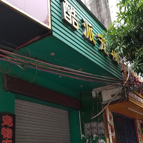 酷派宠物