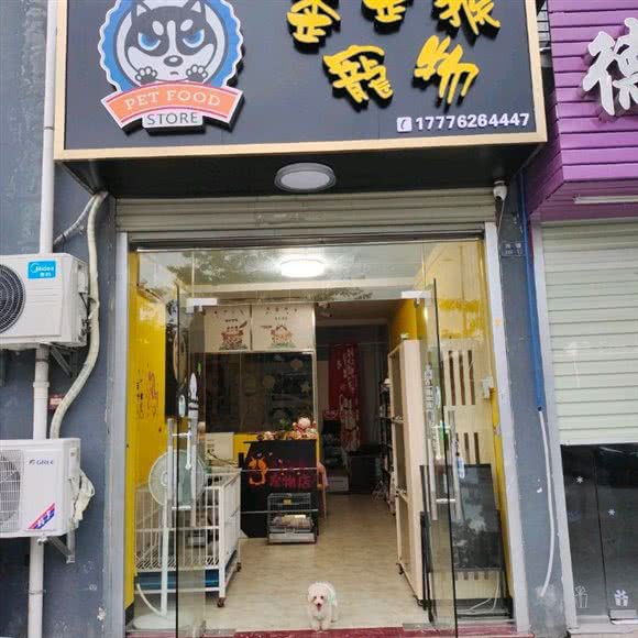 歪歪猴宠物