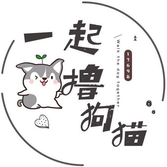一起撸狗猫宠物健康中心(城中万达店)