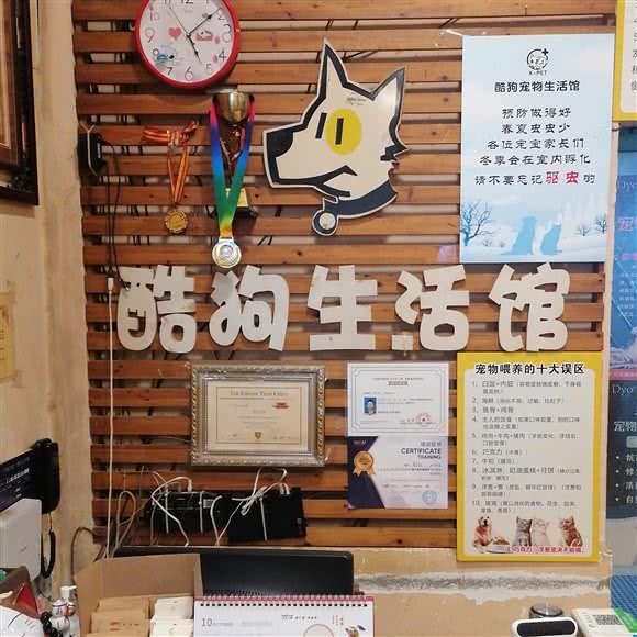 酷狗五星级宠物连锁店