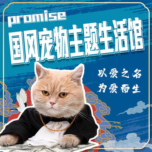 Promise 国风宠物空间(上邦百汇城店)
