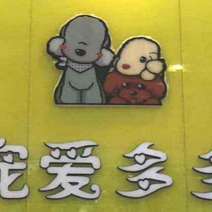 宠爱多多