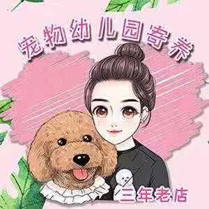 宠物幼儿园寄养