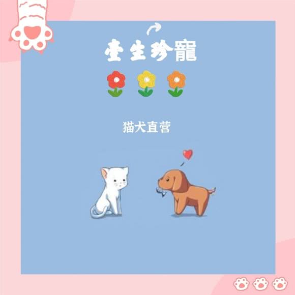 一生珍宠.猫犬活体直营.连锁分店