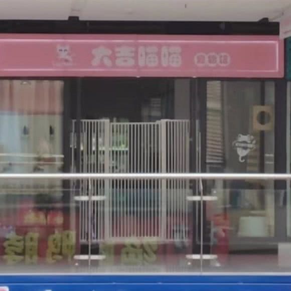 大吉喵喵宠物馆(红原路店)