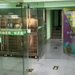 悦洋宠物医院(谢家湾店)