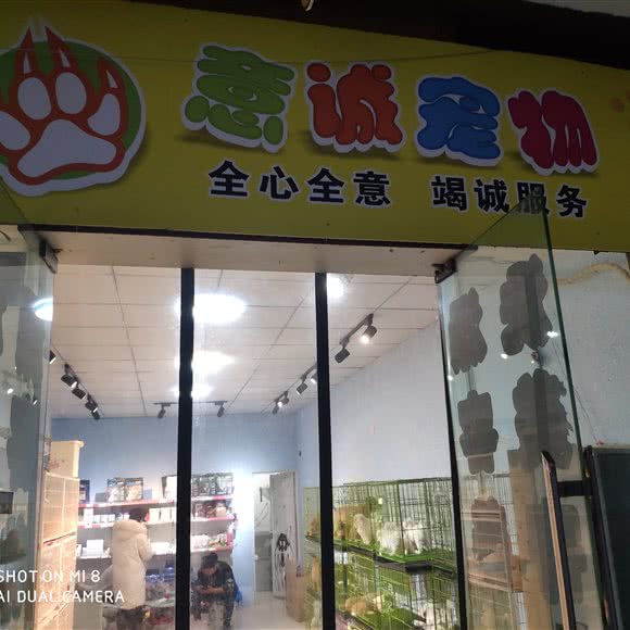 意诚宠物