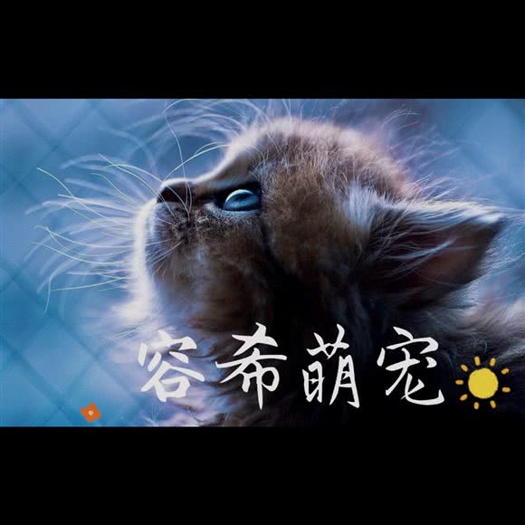 容希猫狗萌宠专售(重庆旗舰店)