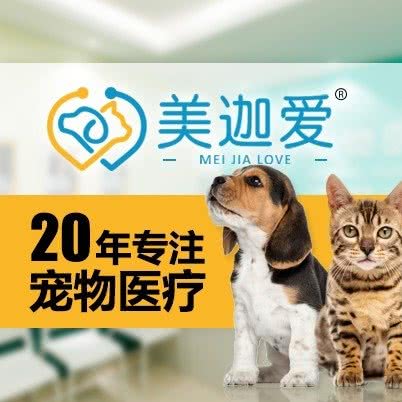 美迦爱绿房子动物医院