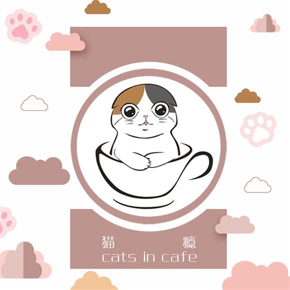 猫戏瘾 美容寄养