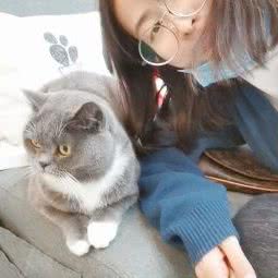 圆圆的宠物工作室