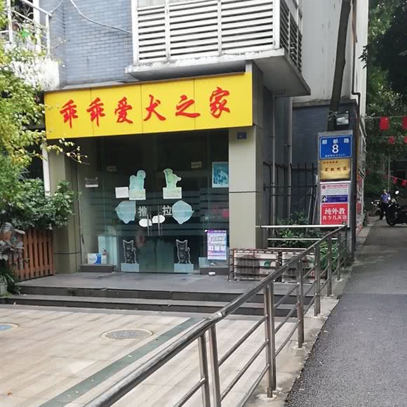 乖乖爱犬之家